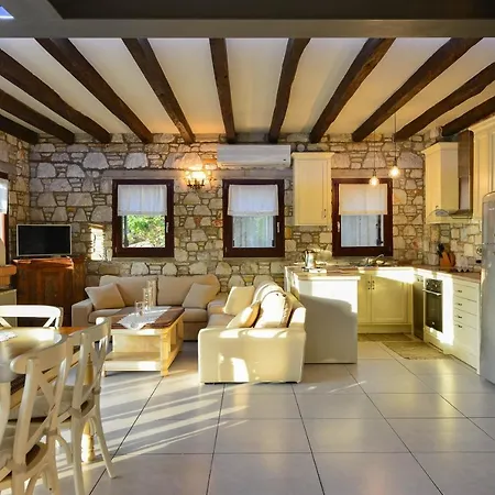 Pelion Luxury Homes בית נופש דמוצ'ארי