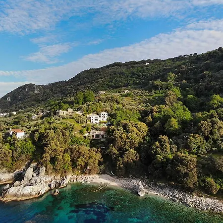 Pelion Luxury Homes בית נופש דמוצ'ארי